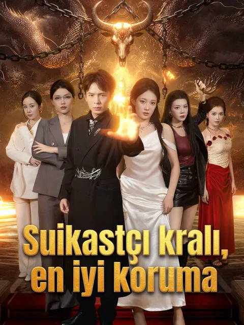Suikastçı kralı, en iyi koruma dizisi kapak görseli — 79 bölüm full HD Türkçe izle