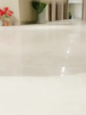 Temizlikçiden patron kocaya