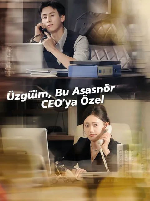 Üzgünüm, Bu Asansör CEO'ya Özel