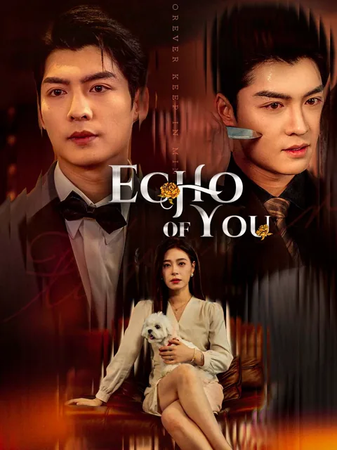 Echo of You