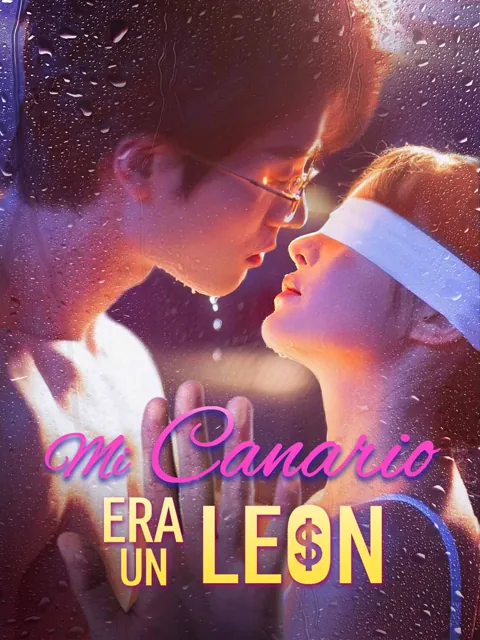 Mi Canario Era un León