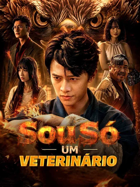 Sou Só um Veterinário capa — assistir aos 64 episódios grátis em HD