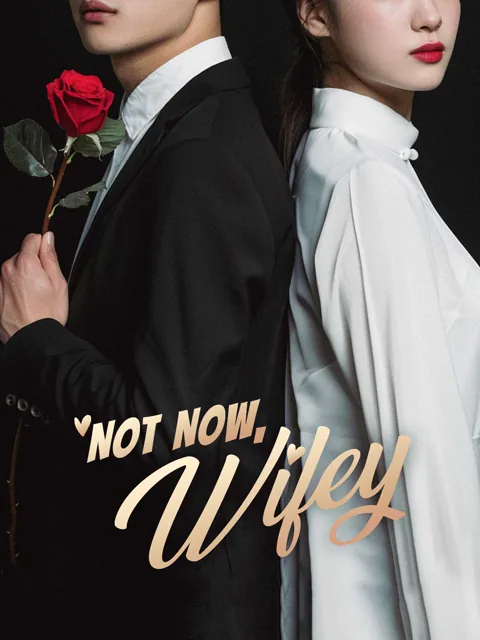 Not Now, Wifey cover image — watch all 75 episodes free in HD