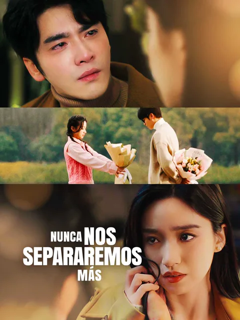 Nunca nos separaremos más portada — ver los 92 episodios gratis en HD