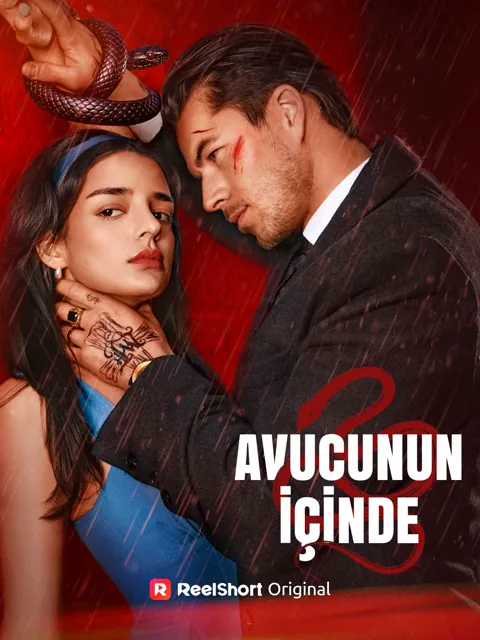 Avucunun İçinde