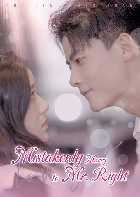 Mistakenly Marry to Mr. Right