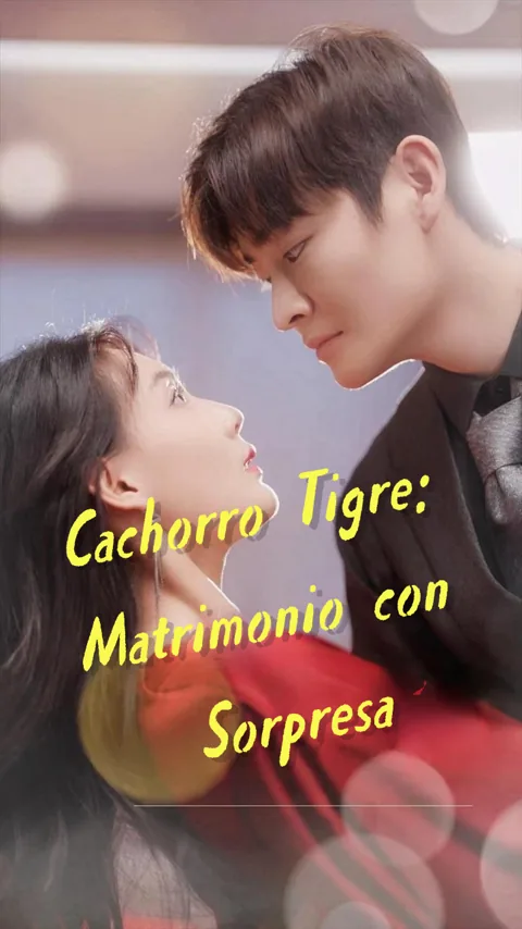 Cachorro Tigre: Matrimonio con Sorpresa portada — ver los 99 episodios gratis en HD