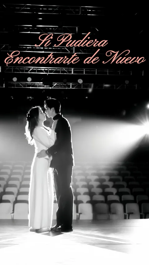 Si Pudiera Encontrarte de Nuevo portada — ver los 84 episodios gratis en HD