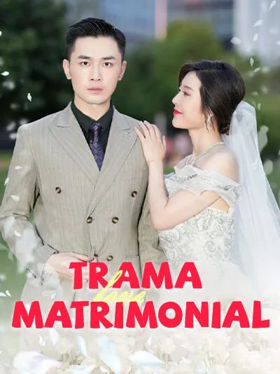 Trama Matrimonial portada — ver los 38 episodios gratis en HD