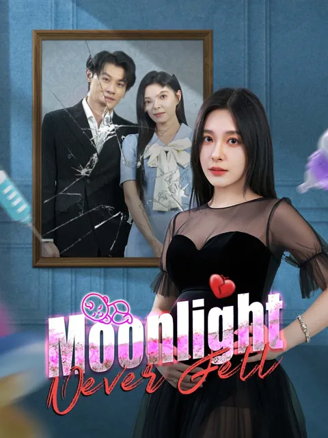 Moonlight Never Fell
