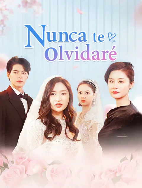 Nunca te olvidaré portada — ver los 34 episodios gratis en HD