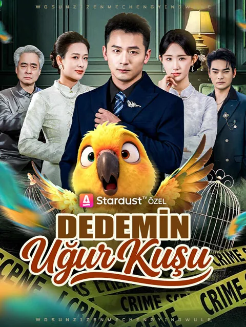 Dedemin Uğur Kuşu dizisi kapak görseli — 71 bölüm full HD Türkçe izle