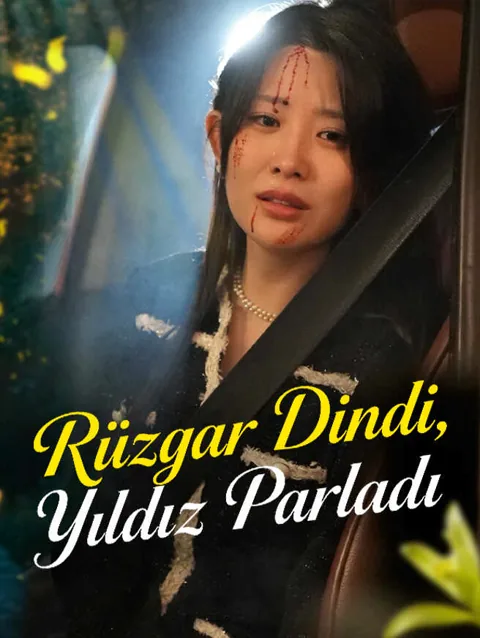 rüzgar Dindi yıldız parladı dizisi kapak görseli — 65 bölüm full HD Türkçe izle