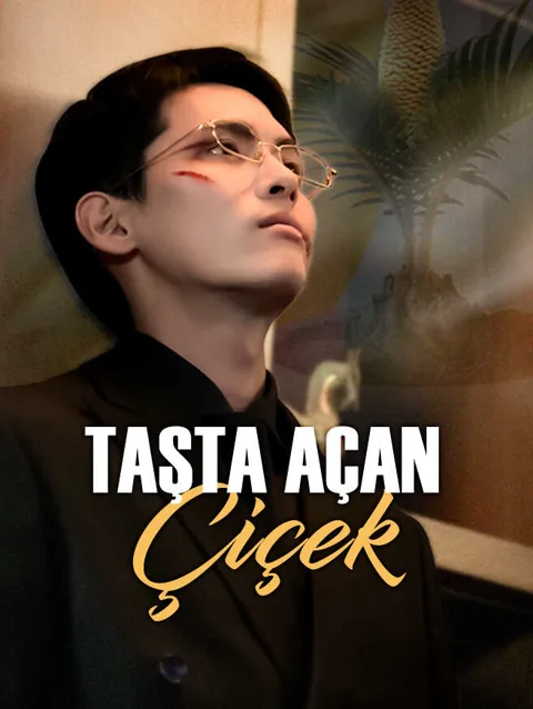taşta açan çiçek