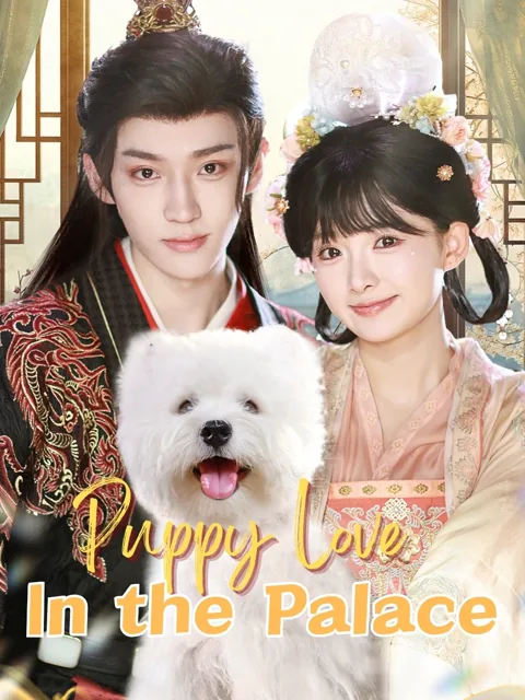 Puppy Love in the Palace cover image — watch all 60 episodes free in HD